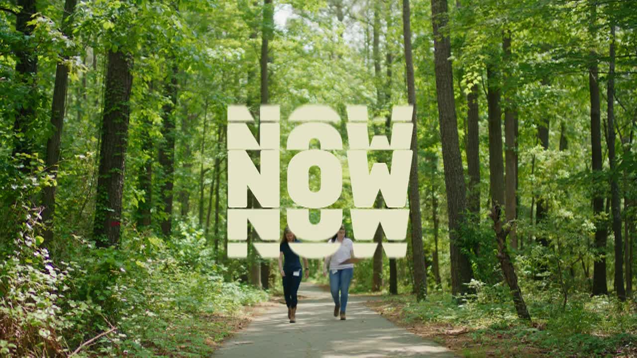 Your Best Job Yet - Compilation 2